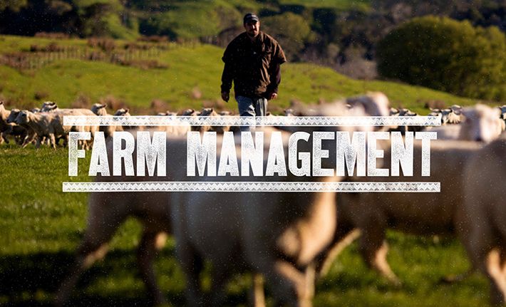 Whangara Farms - Farm Management