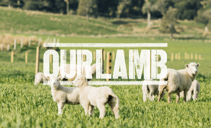 Whangara Farms - Our Lamb