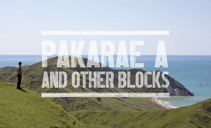 Whangara Farms - Pakarae A and other blocks